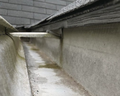 What Makes Our Cleanings The Best?